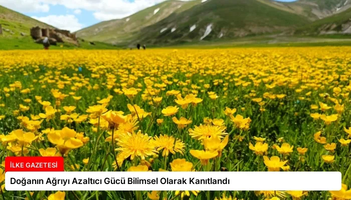 Doğanın Ağrıyı Azaltıcı Gücü Bilimsel Olarak Kanıtlandı