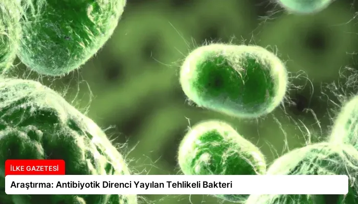 Araştırma: Antibiyotik Direnci Yayılan Tehlikeli Bakteri