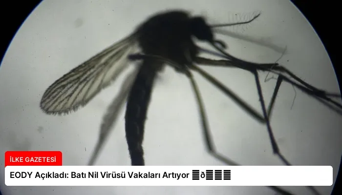 EODY Açıkladı: Batı Nil Virüsü Vakaları Artıyor ⏬👇