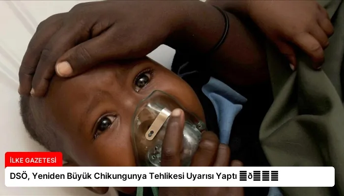 DSÖ, Yeniden Büyük Chikungunya Tehlikesi Uyarısı Yaptı ⏬👇