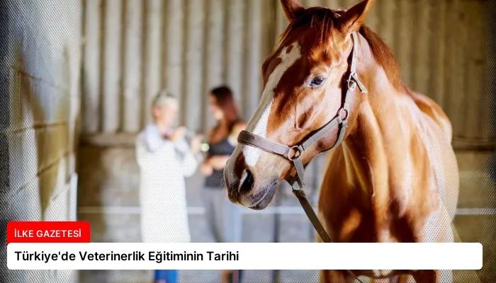 Türkiye’de Veterinerlik Eğitiminin Tarihi