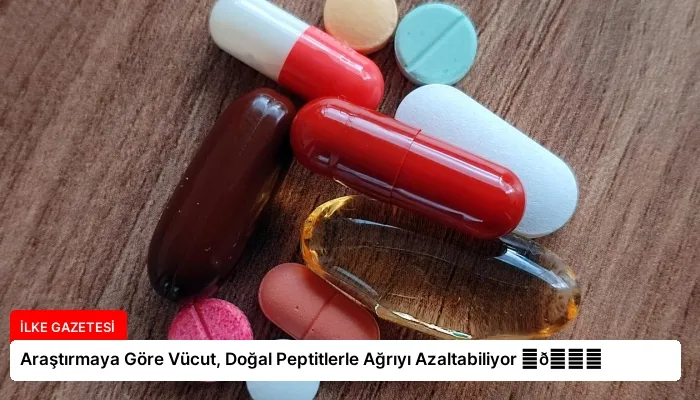 Araştırmaya Göre Vücut, Doğal Peptitlerle Ağrıyı Azaltabiliyor ⏬👇