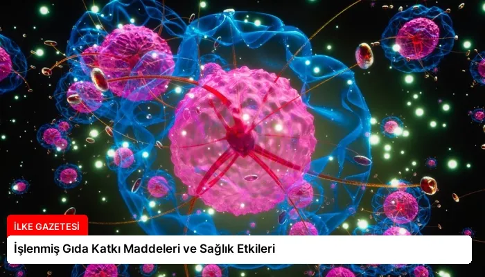 İşlenmiş Gıda Katkı Maddeleri ve Sağlık Etkileri
