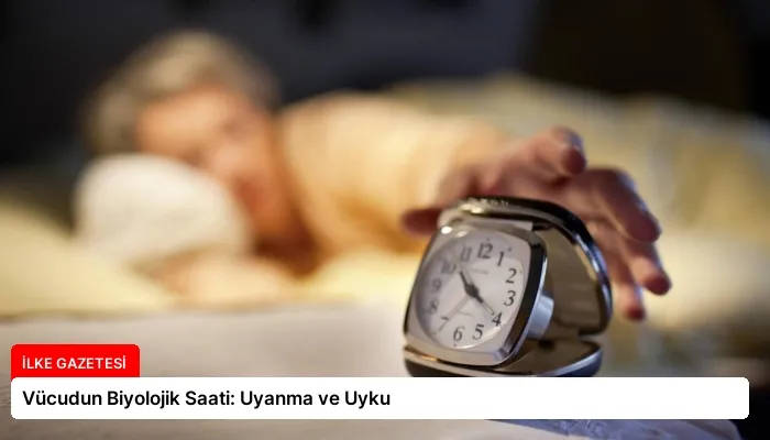 Vücudun Biyolojik Saati: Uyanma ve Uyku