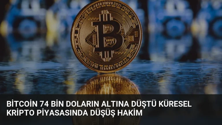 Bitcoin 74 Bin Doların Altına Düştü Küresel Kripto Piyasasında Düşüş Hakim