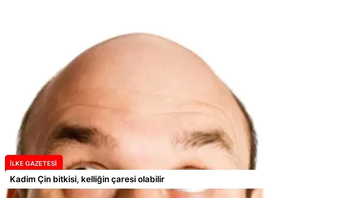 Kadim Çin bitkisi, kelliğin çaresi olabilir