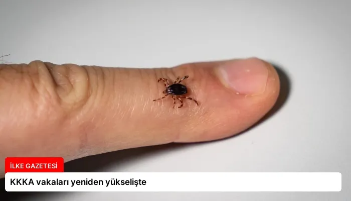 KKKA vakaları yeniden yükselişte