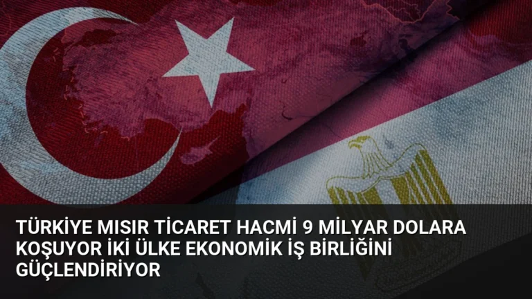 Türkiye Mısır Ticaret Hacmi 9 Milyar Dolara Koşuyor İki Ülke Ekonomik İş Birliğini Güçlendiriyor