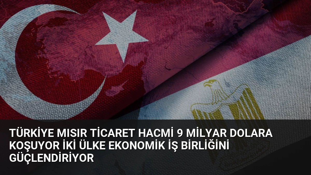Türkiye Mısır Ticaret Hacmi 9 Milyar Dolara Koşuyor İki Ülke Ekonomik İş Birliğini Güçlendiriyor