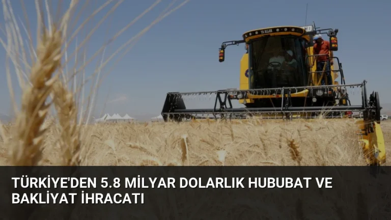 Türkiye’den 5.8 Milyar Dolarlık Hububat ve Bakliyat İhracatı