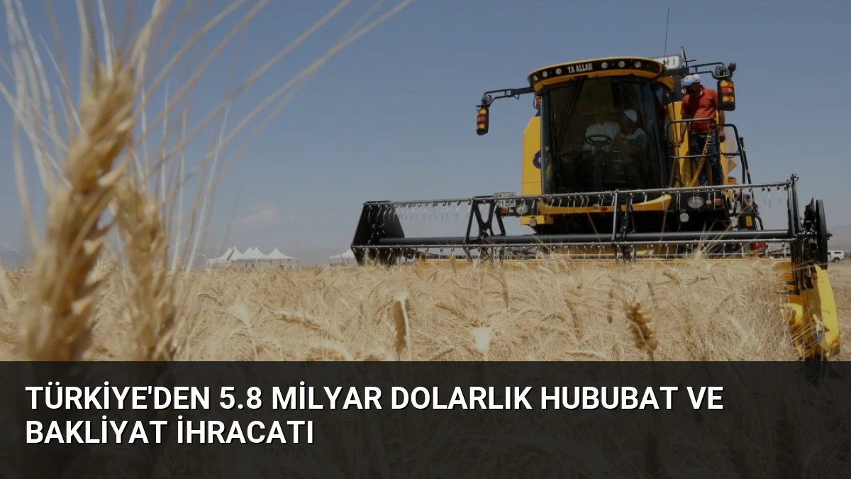 Türkiye’den 5.8 Milyar Dolarlık Hububat ve Bakliyat İhracatı