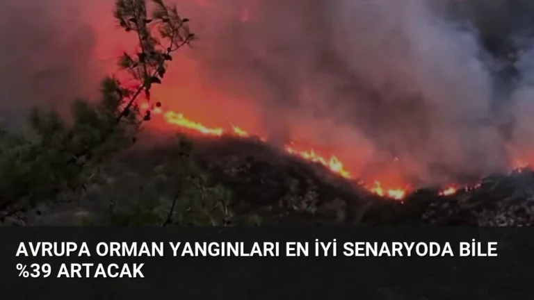 Avrupa Orman Yangınları En İyi Senaryoda Bile %39 Artacak