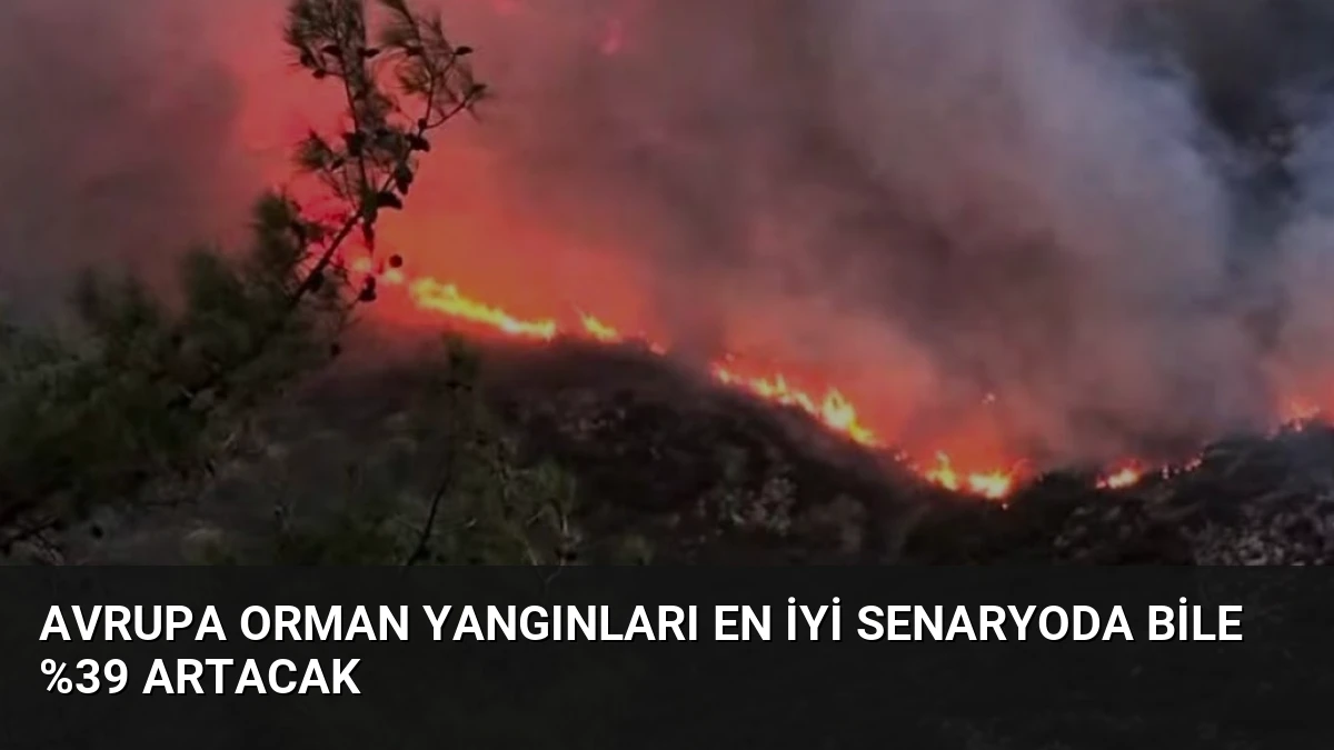 Avrupa Orman Yangınları En İyi Senaryoda Bile %39 Artacak