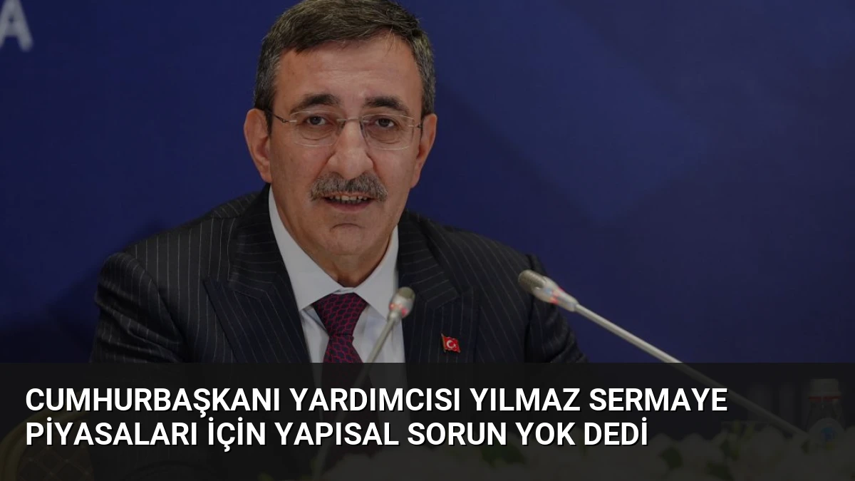 Cumhurbaşkanı Yardımcısı Yılmaz Sermaye Piyasaları İçin Yapısal Sorun Yok Dedi
