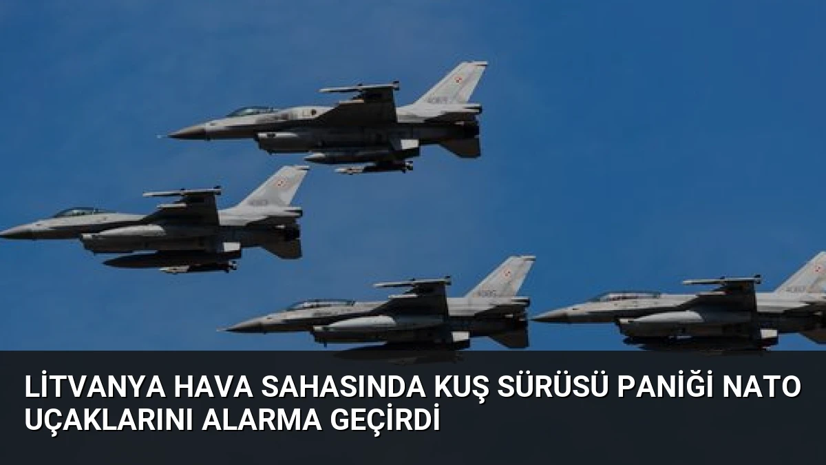 Litvanya Hava Sahasında Kuş Sürüsü Paniği NATO Uçaklarını Alarma Geçirdi
