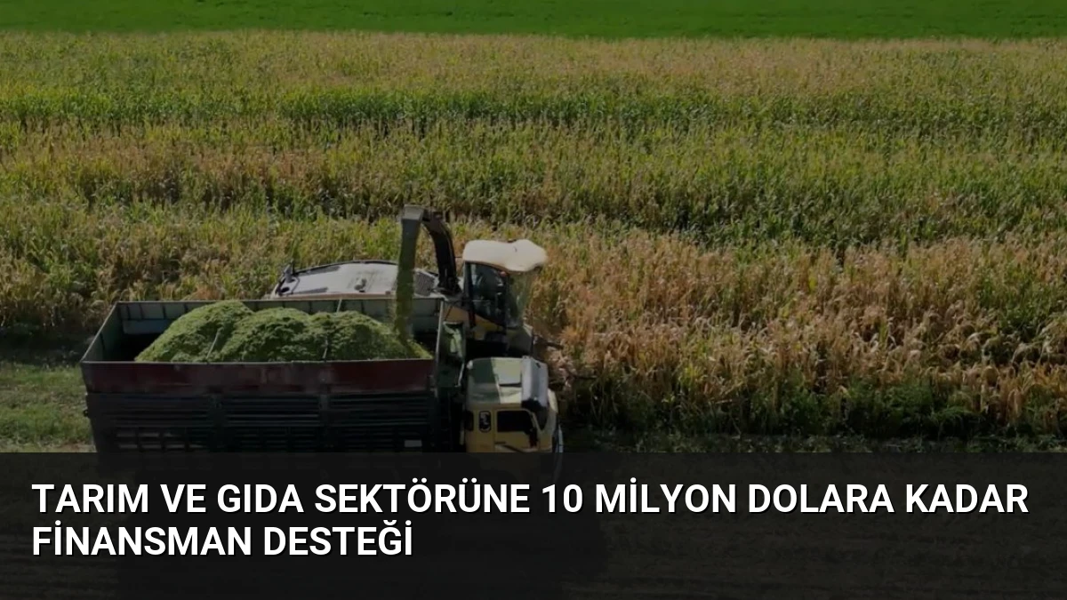 Tarım ve Gıda Sektörüne 10 Milyon Dolara Kadar Finansman Desteği