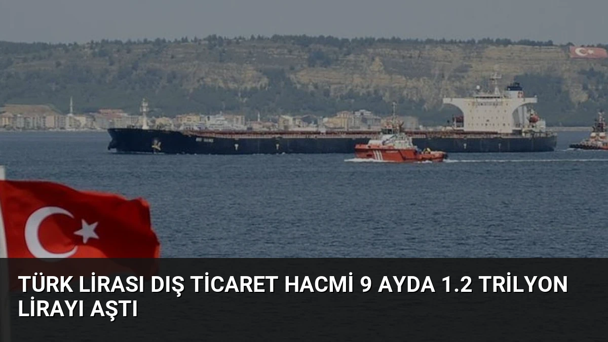 Türk Lirası Dış Ticaret Hacmi 9 Ayda 1.2 Trilyon Lirayı Aştı